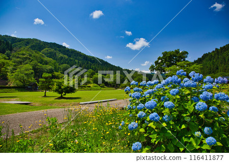 Early summer at Ichijodani Asakura Clan Ruins 116411877