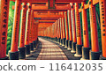 Senbon Torii (Fushimi-Inari Taisha Shrine) 116412035