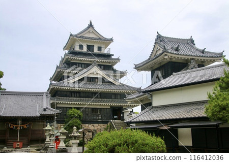 Nakatsu Castle (Oita Prefecture, Nakatsu City) 116412036