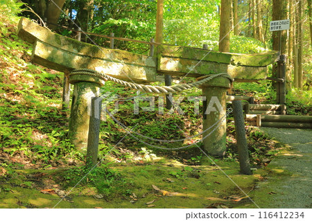 The buried torii gate of Inari Shrine at the foot of Ushino The buried torii gate of Inari Shrine at the foot of Ushino 116412234