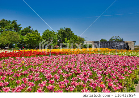 Yuri no Sato Park 116412654