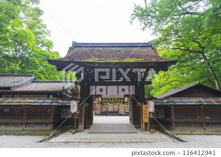 Early summer in Kyoto: Kawai Shrine's inner gate and fresh greenery 116412941