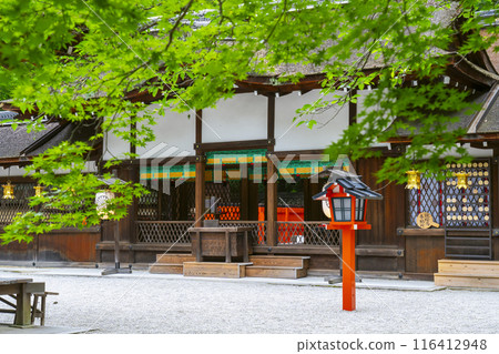 Early summer in Kyoto: Kawai Shrine main hall with fresh greenery 116412948