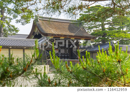 Kyoto Imperial Palace: Kenreimon Gate surrounded by fresh greenery Kyoto Imperial Palace: Kenreimon Gate surrounded by fresh greenery 116412959