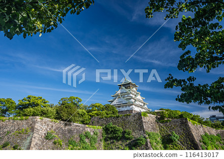 Osaka Castle castle tower 116413017