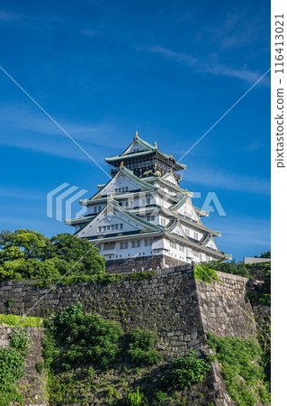 Osaka Castle castle tower 116413021