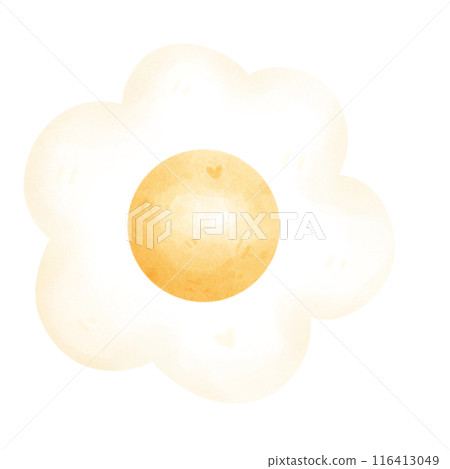 flower flower 116413049