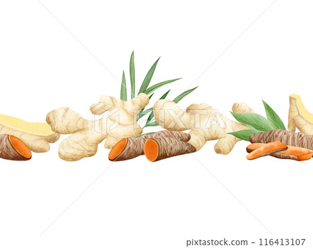 Watercolor turmeric and ginger roots with leaves seamless border isolated on white. Hand drawn endless background for kitchen textile, organic healthy food packaging and menus and web sites Watercolor turmeric and ginger roots with leaves seamless border isolated on white. Hand drawn endless background for kitchen textile, organic healthy food packaging and menus and web sites 116413107