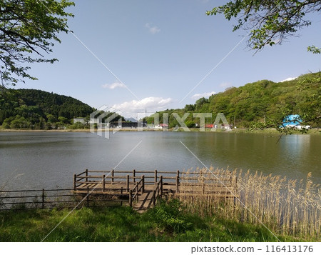 Foreground of Umaushi Swamp Foreground of Umaushi Swamp 116413176
