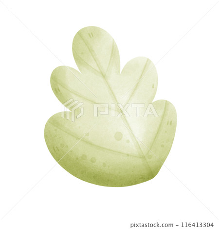 leaves and branch leaves and branch 116413304