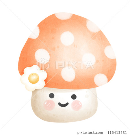mushroom mushroom 116413381
