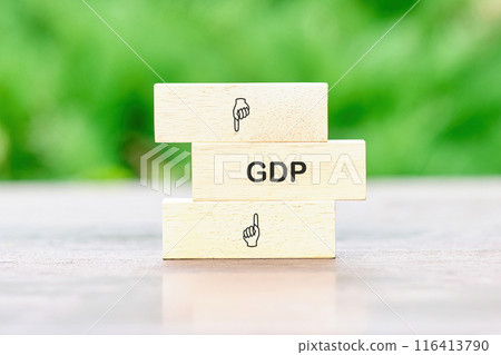 GDP word. Gross domestic product on wooden blocks on a table against a background of green plants out of focus 116413790