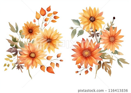 Thanksgiving flowers isolated on white background 116413836