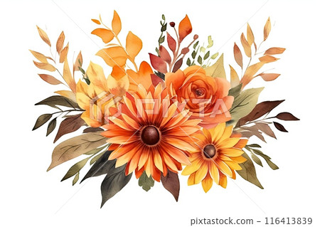 Thanksgiving flowers isolated on white background Thanksgiving flowers isolated on white background 116413839