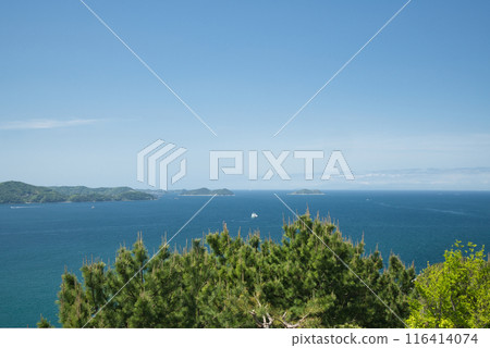 從高津山展望台眺望和歌浦灣【和歌山縣、歌山市】 從高津山展望台眺望和歌浦灣【和歌山縣、歌山市】 116414074