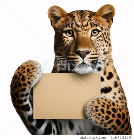Cute 3d animals holding up an empty white sign, all isolated on a white background 116414199