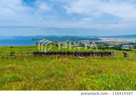 Fresh green pasture village Azuma Black hair Wagyu beef [Unzen City, Nagasaki Prefecture] 116414387