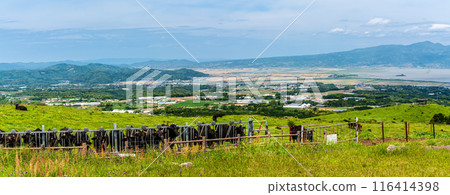 Fresh green farm village Azuma Black hair Wagyu beef Panorama [Unzen City, Nagasaki Prefecture] 116414398