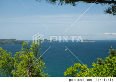 View of Wakaura Bay from Takatsukoyama Observatory [Wakayama City, Wakayama Prefecture] 116414513