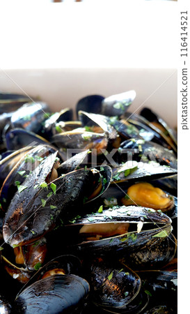 Closeup Steamed Mussels in white wine, herbs and lemon on white bow Closeup Steamed Mussels in white wine, herbs and lemon on white bow 116414521