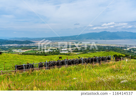 Fresh green pasture village Azuma Black hair Wagyu beef [Unzen City, Nagasaki Prefecture] 116414537
