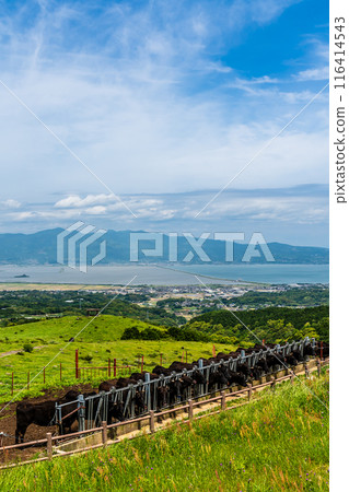 Fresh green pasture village Azuma Black hair Wagyu beef [Unzen City, Nagasaki Prefecture] 116414543