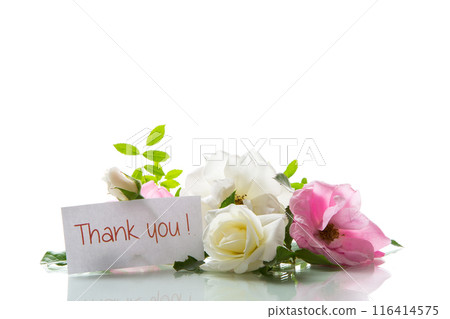 wooden light background with white and pink roses 116414575