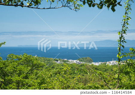 從高津山展望台眺望西崎【和歌山縣、歌山市】 116414584