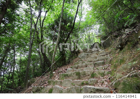 Steep stone steps in the mountains 116414941