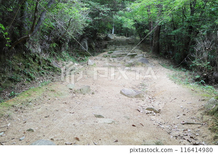 Road in the lush mountains Road in the lush mountains 116414980
