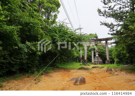 Reddish brown ground and stone torii gate in the mountains Reddish brown ground and stone torii gate in the mountains 116414984