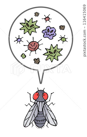 Flies and pathogens Flies and pathogens 116415069