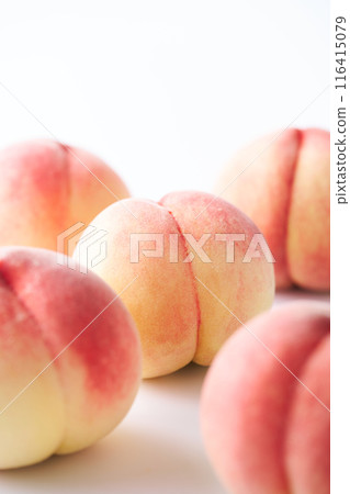 Hakuho from Yamanashi Prefecture 116415079