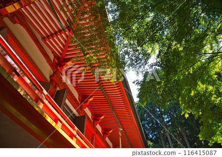 初夏的比叡山延歷寺 116415087