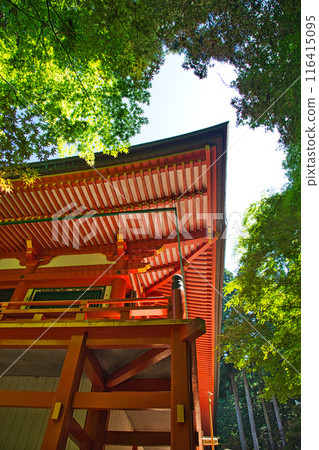 初夏的比叡山延歷寺 116415095