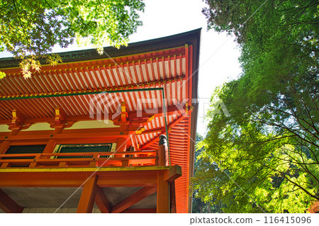初夏的比叡山延歷寺 初夏的比叡山延歷寺 116415096