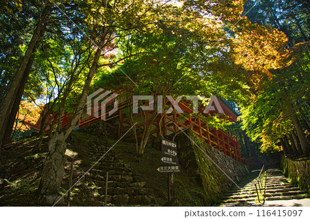 Enryakuji Temple on Mount Hiei in early summer Enryakuji Temple on Mount Hiei in early summer 116415097