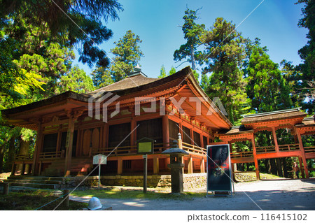 初夏的比叡山延歷寺 116415102