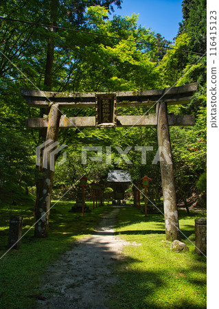 初夏的比叡山延歷寺 116415123