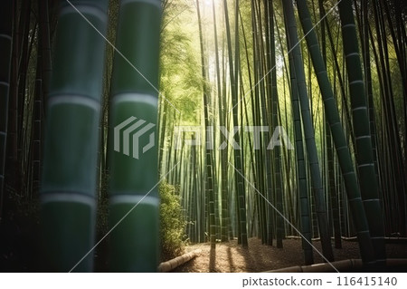 A tranquil bamboo forest with sunlight filtering through tall trees, creating a peaceful atmosphere A tranquil bamboo forest with sunlight filtering through tall trees, creating a peaceful atmosphere 116415140