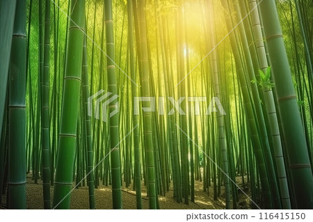A tranquil bamboo forest with sunlight filtering through tall trees, creating a peaceful atmosphere 116415150