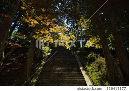 初夏的比叡山延歷寺 初夏的比叡山延歷寺 116415177