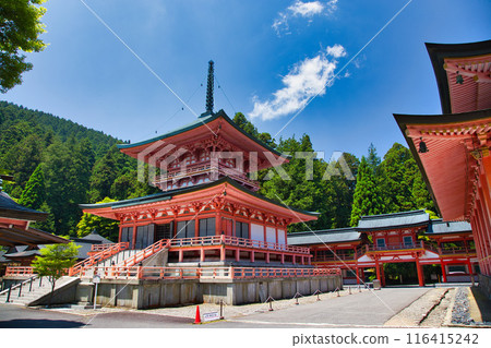Enryakuji Temple on Mount Hiei in early summer 116415242