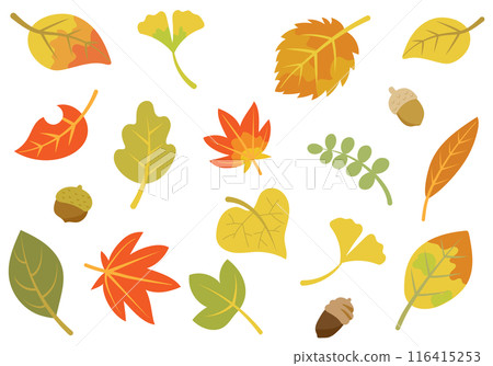 A set of autumn-like leaves and acorns 116415253