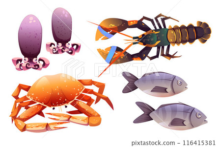 Seafood animal - fish, lobster, crab, squid Seafood animal - fish, lobster, crab, squid 116415381