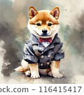 A fashionable Shiba Inu 116415417
