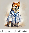 The Shiba Inu who became a doctor 116415443