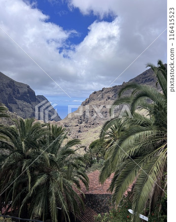 Scenic view on the massive steep rock formation of the Teno mountain massive near village Masca, Tenerife, Canary Islands, Spain, Europe. Palm tree branches with blue background entering the frame Scenic view on the massive steep rock formation of the Teno mountain massive near village Masca, Tenerife, Canary Islands, Spain, Europe. Palm tree branches with blue background entering the frame 116415523