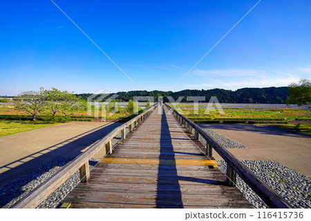 Shimada City, Shizuoka Prefecture: Japan's longest wooden pedestrian bridge, Horai Bridge Shimada City, Shizuoka Prefecture: Japan's longest wooden pedestrian bridge, Horai Bridge 116415736