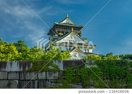 大阪城堡城堡塔 大阪城堡城堡塔 116416036